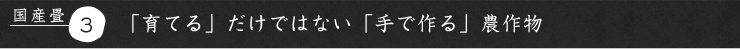 育てるだけではない手で作る農産物